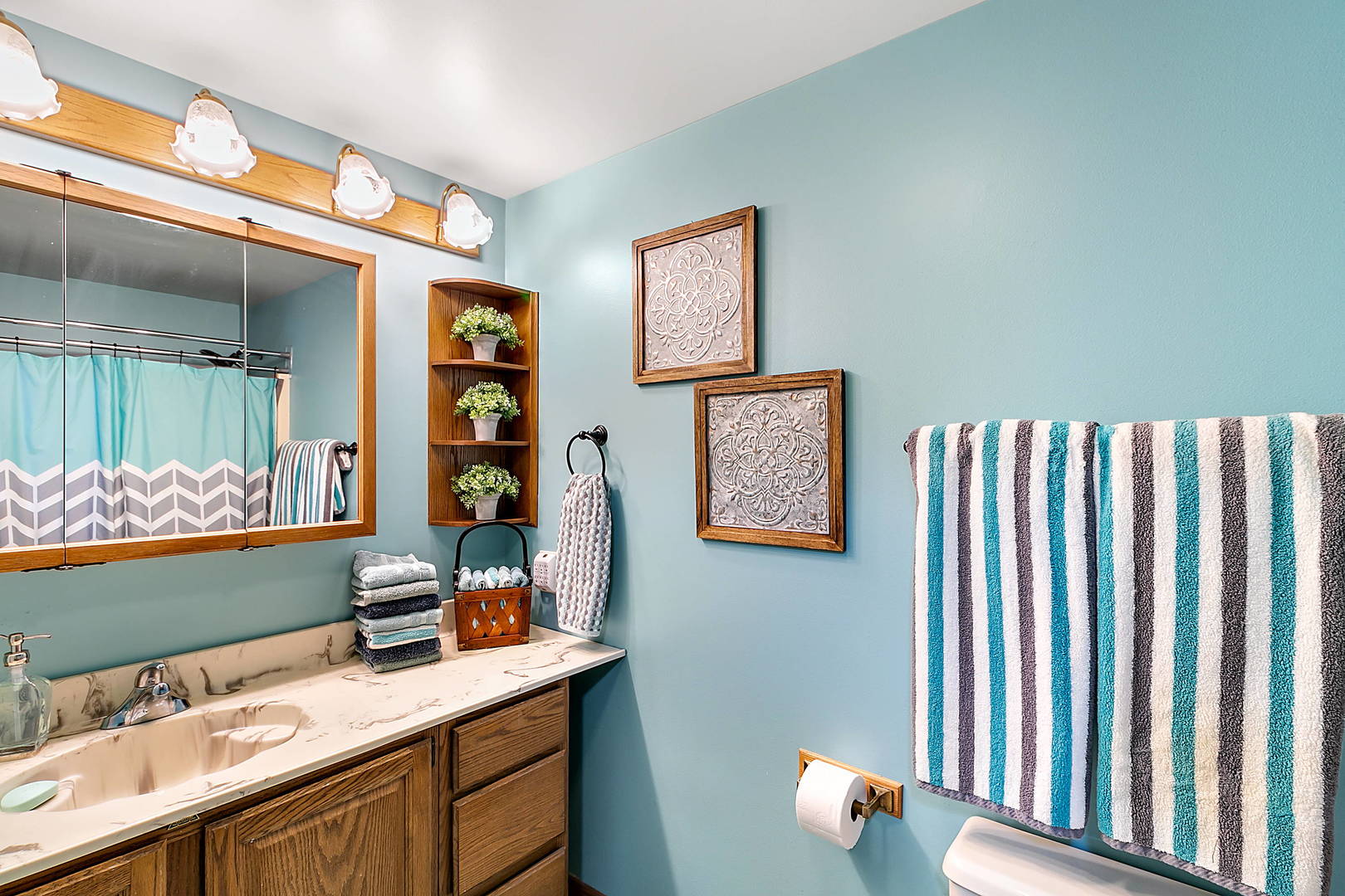 3320 North Jugtown Road Morris, IL 60450 - Photo 19 of 48 a bathroom with a sink and a mirror