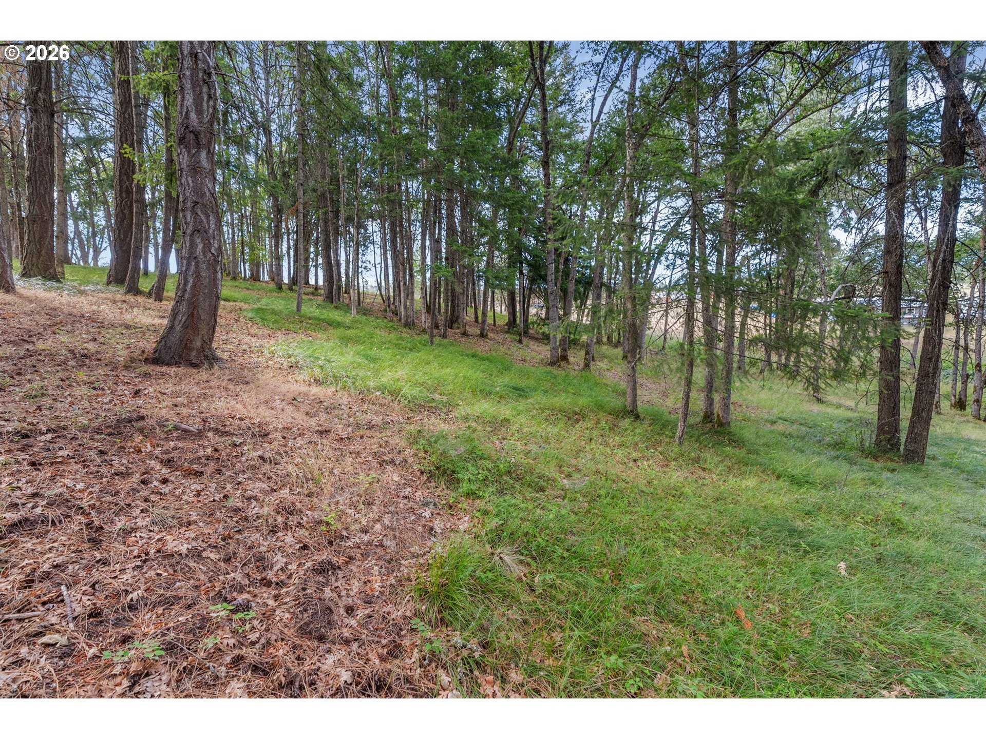 24 Meadows Loop Lyle, WA 98635 - Photo 18 of 25