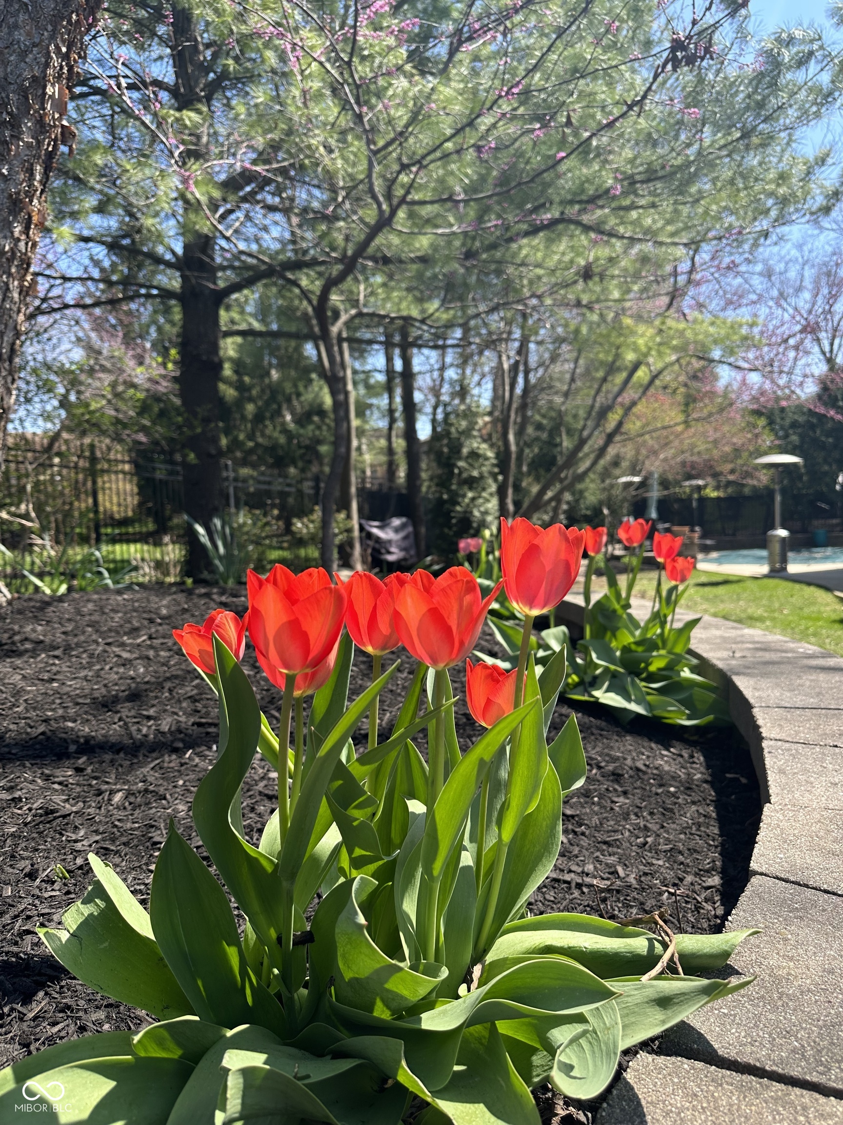 13727 Smokey Ridge Overlook Carmel, IN 46033 - Photo 78 of 94