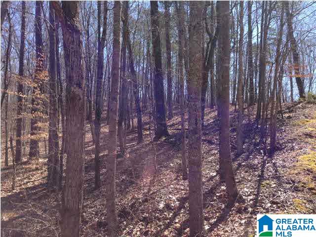 0 Woolfolk Road, Unit 3 ACRES Munford, AL 36268 - Photo 22 of 24
