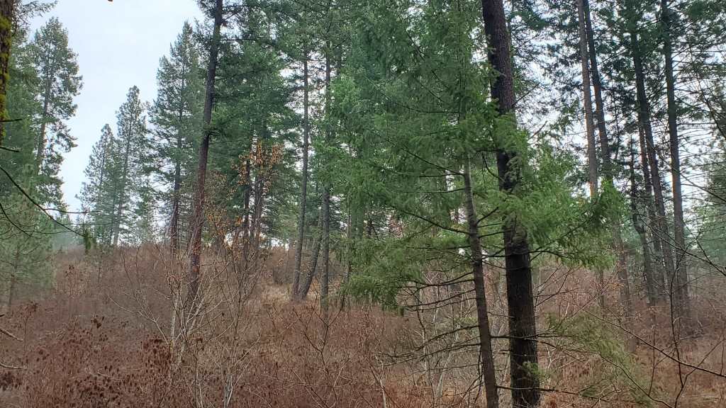 16-xxx East Cooper Road Mead, WA 99021 - Photo 1 of 16