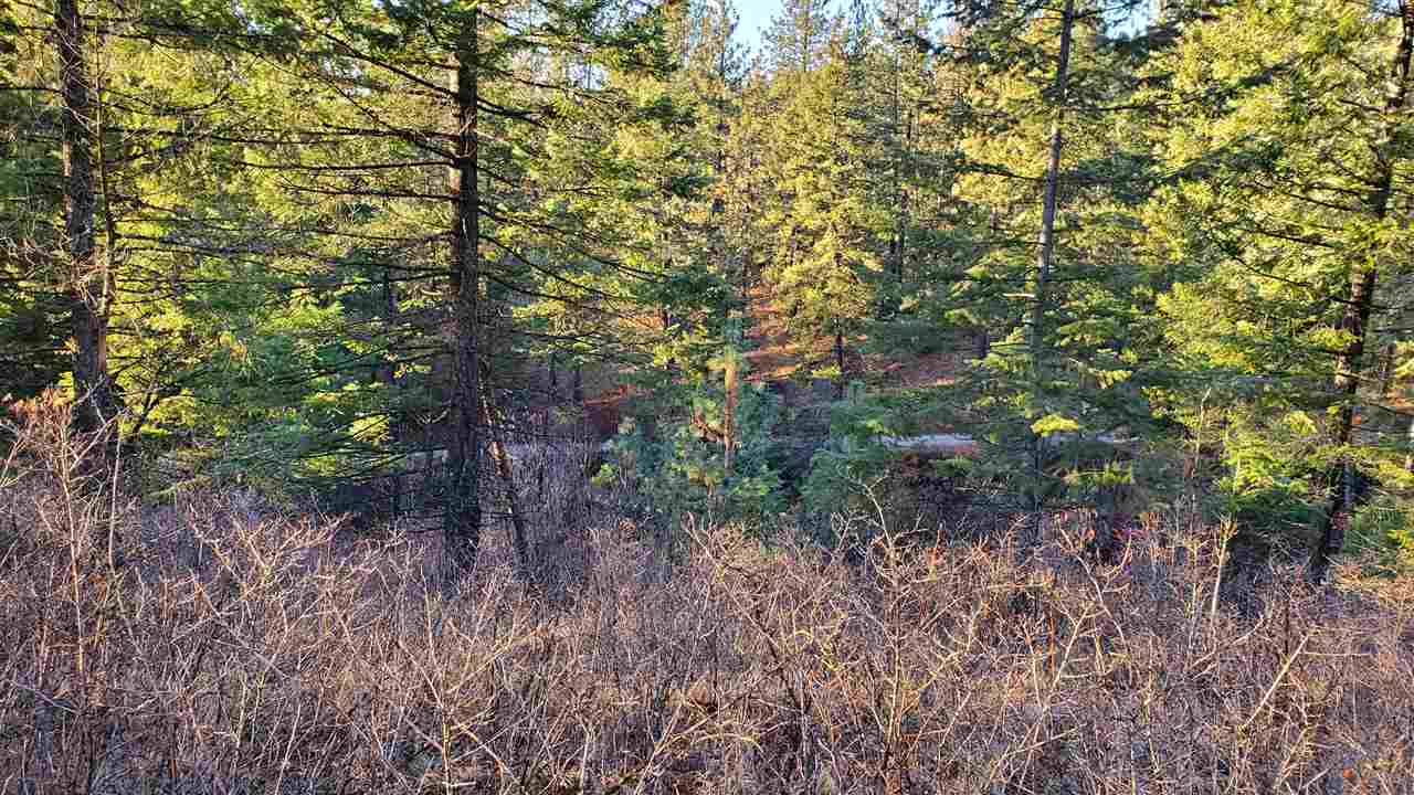 16-xxx East Cooper Road Mead, WA 99021 - Photo 2 of 16