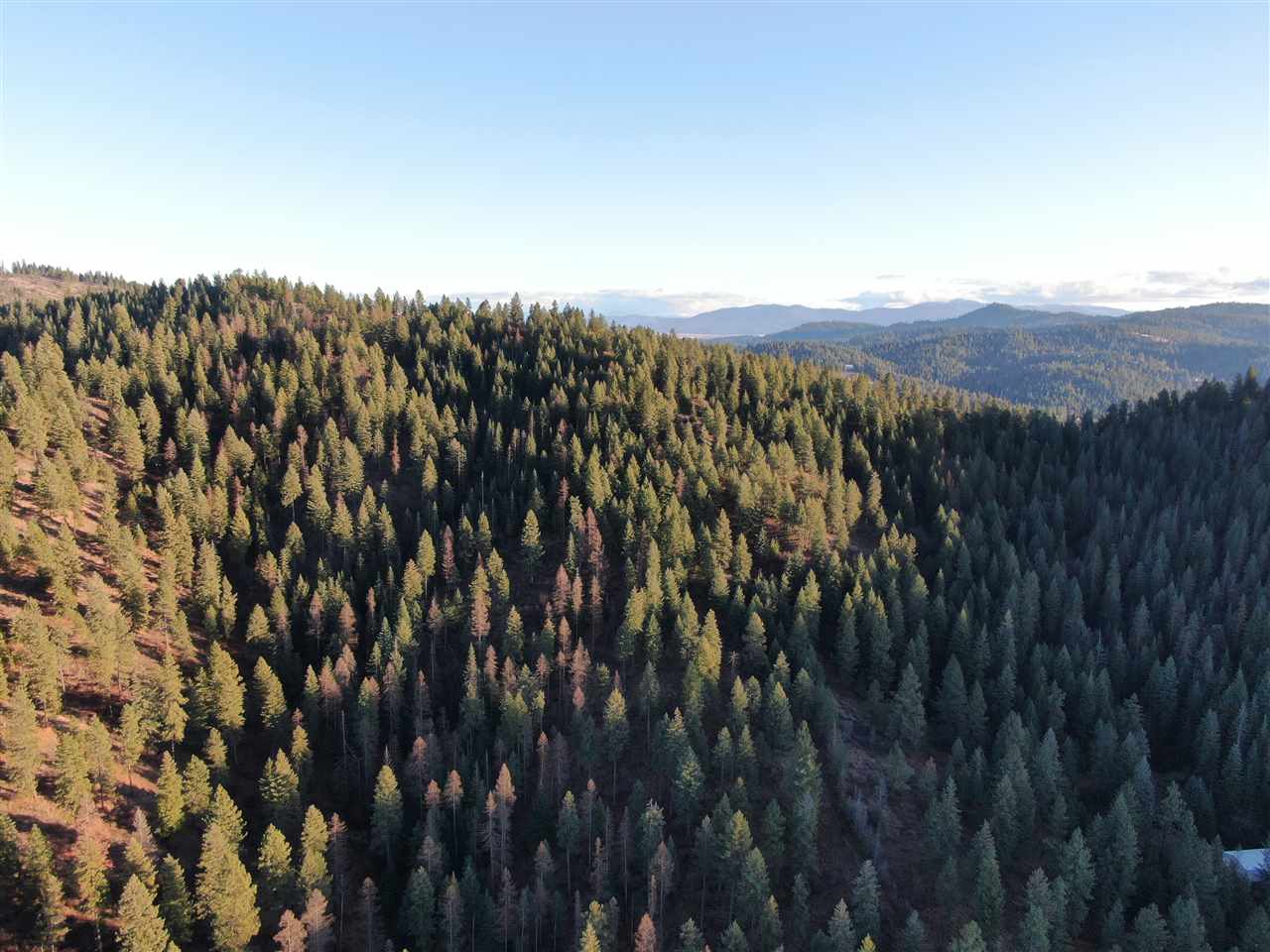 16-xxx East Cooper Road Mead, WA 99021 - Photo 11 of 16