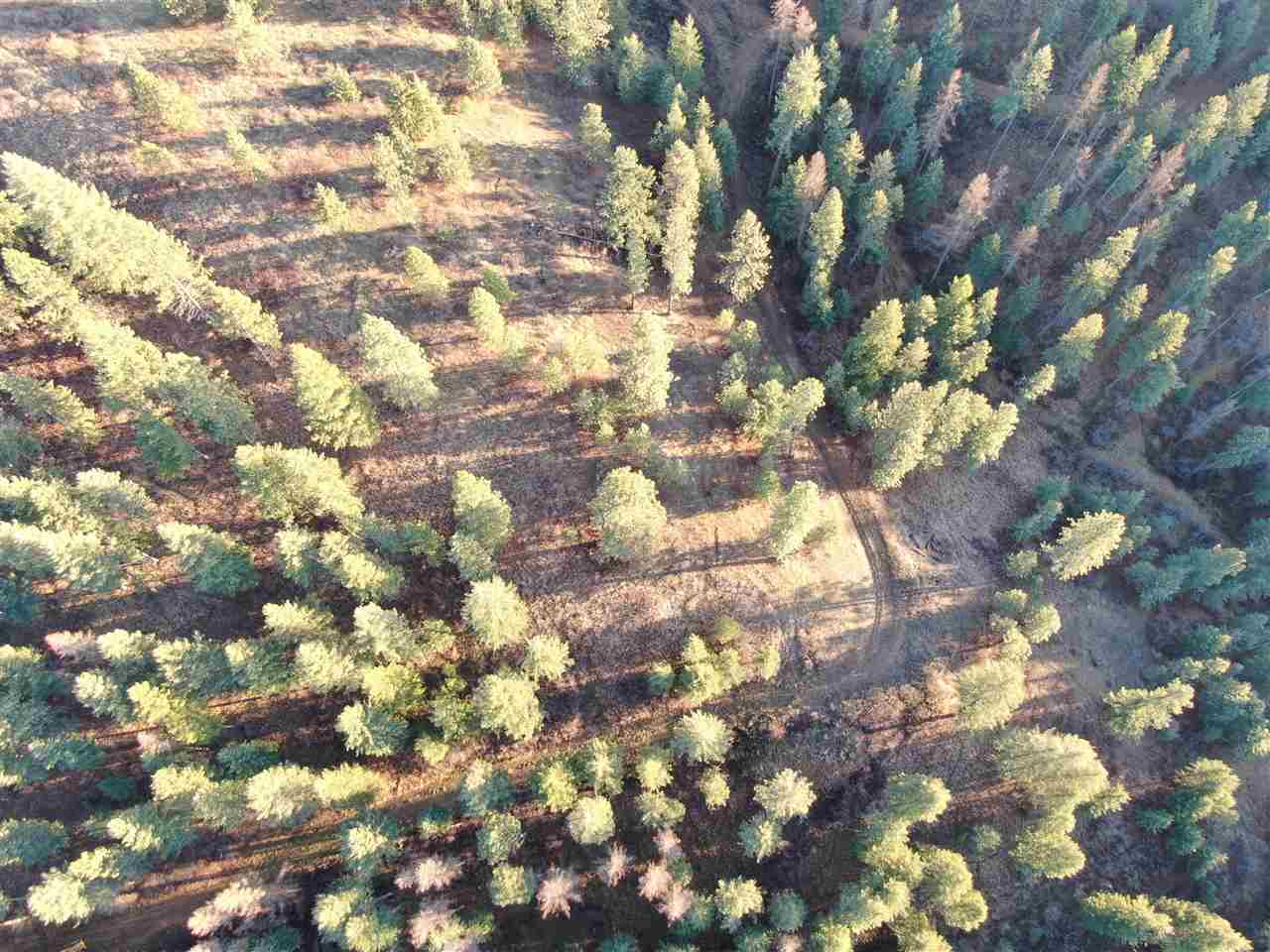 16-xxx East Cooper Road Mead, WA 99021 - Photo 12 of 16