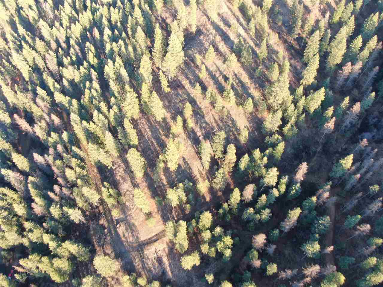 16-xxx East Cooper Road Mead, WA 99021 - Photo 13 of 16