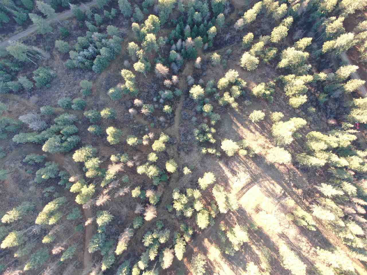 16-xxx East Cooper Road Mead, WA 99021 - Photo 14 of 16