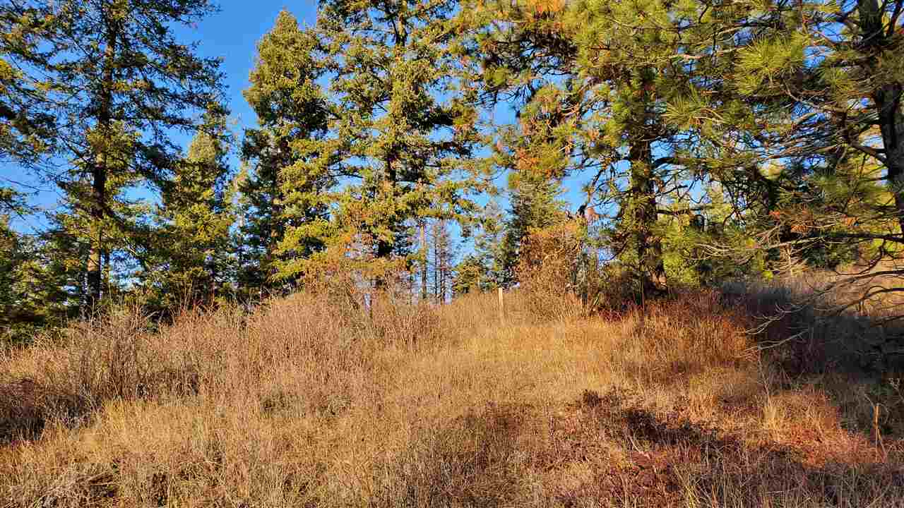 16-xxx East Cooper Road Mead, WA 99021 - Photo 3 of 16