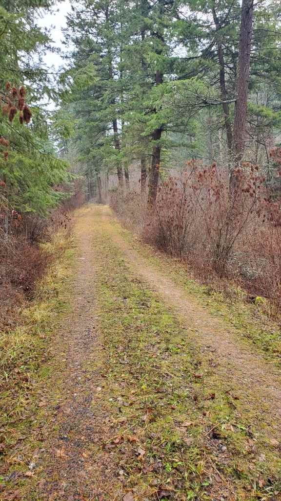 16-xxx East Cooper Road Mead, WA 99021 - Photo 4 of 16