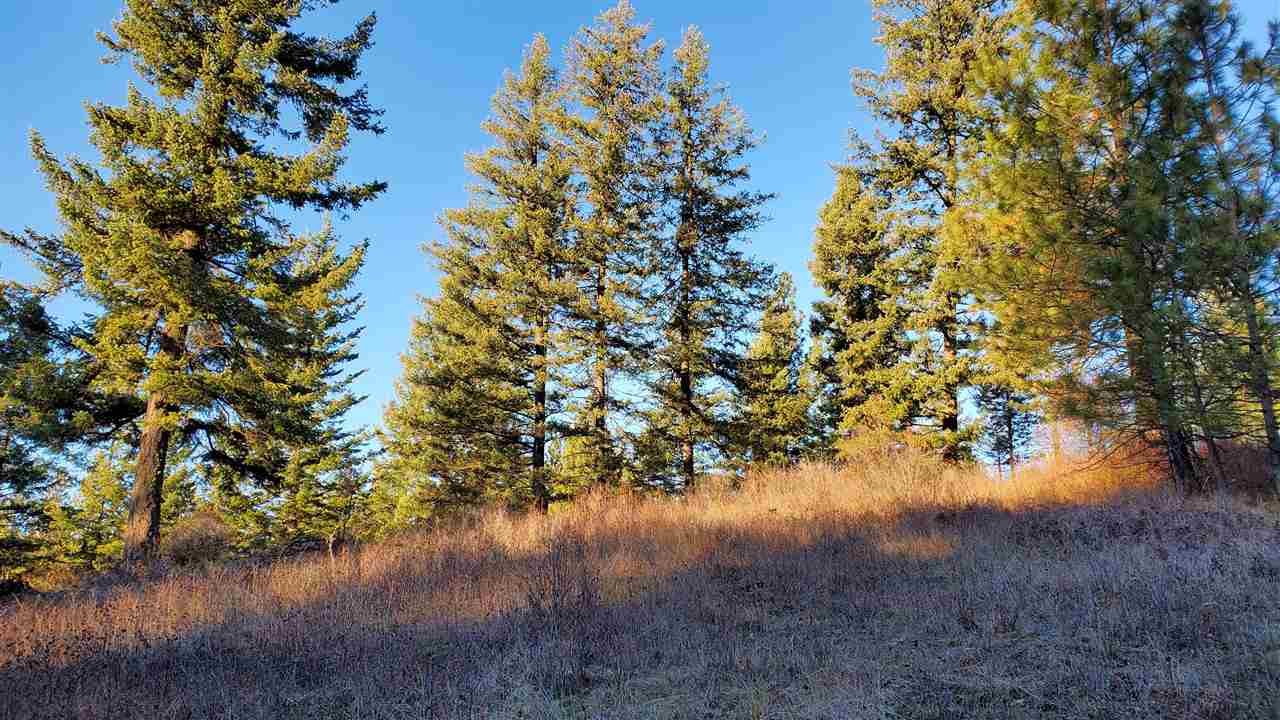 16-xxx East Cooper Road Mead, WA 99021 - Photo 6 of 16
