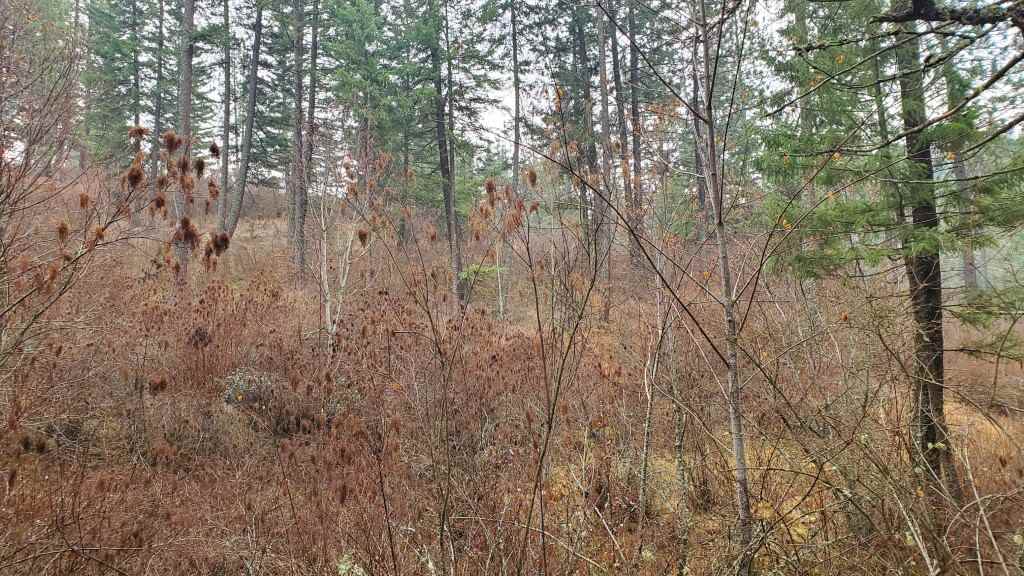 16-xxx East Cooper Road Mead, WA 99021 - Photo 7 of 16