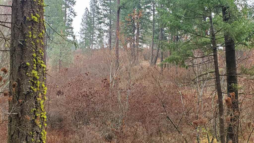 16-xxx East Cooper Road Mead, WA 99021 - Photo 10 of 16