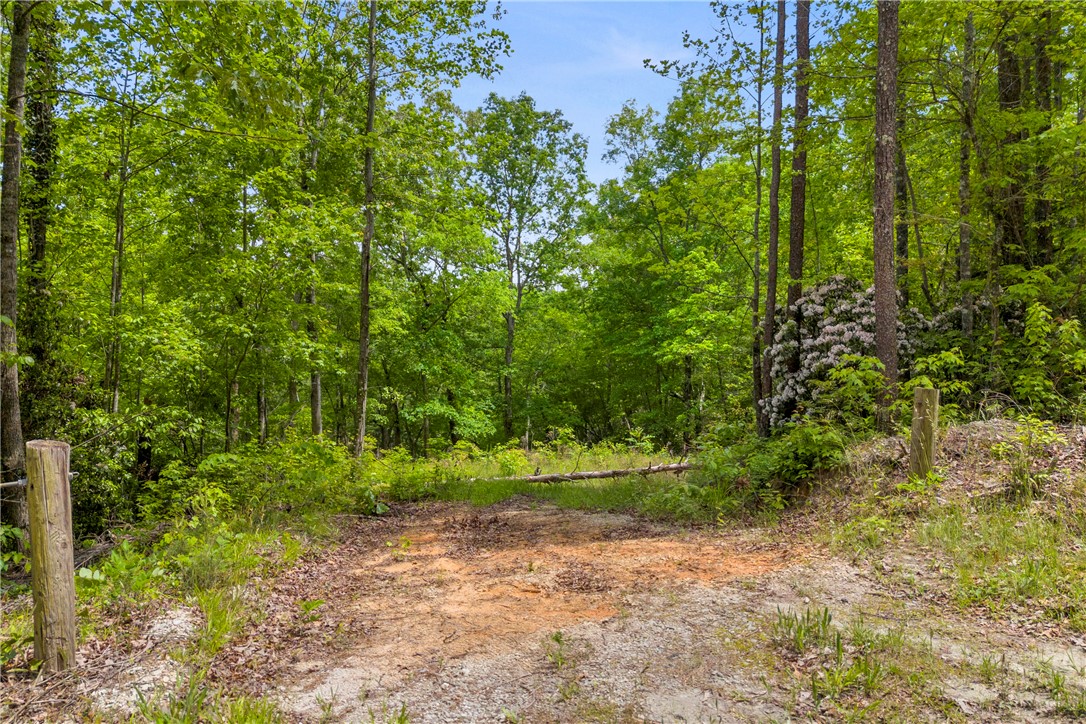 105 Chauga Valley Road Westminster, SC 29693 - Photo 6 of 14