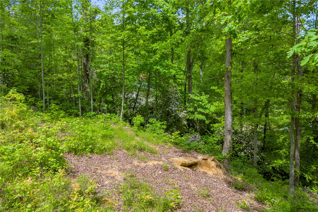 105 Chauga Valley Road Westminster, SC 29693 - Photo 9 of 14