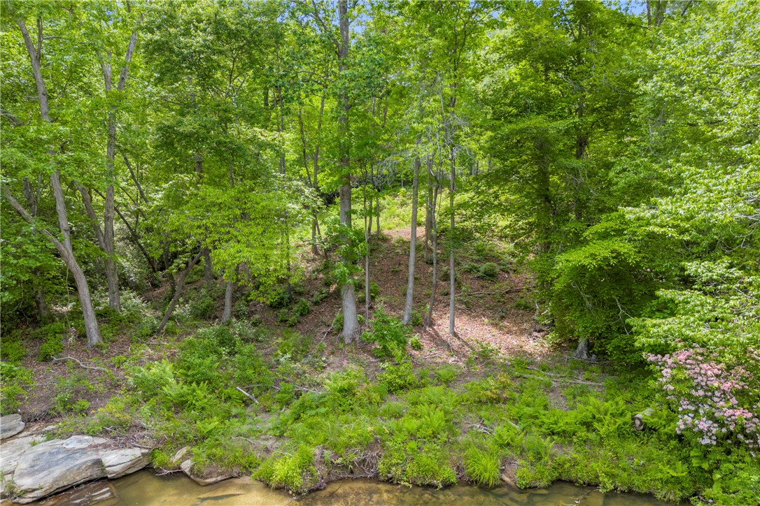 105 Chauga Valley Road Westminster, SC 29693 - Photo 10 of 14