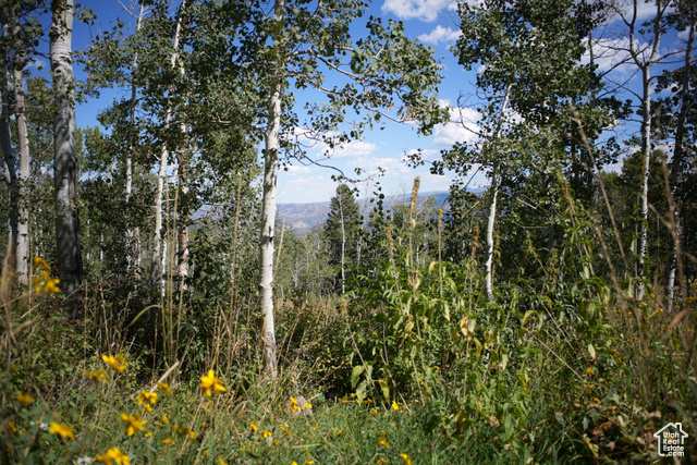 2481 Forest Meadow Road, Unit D91 Coalville, UT 84017 - Photo 5 of 13