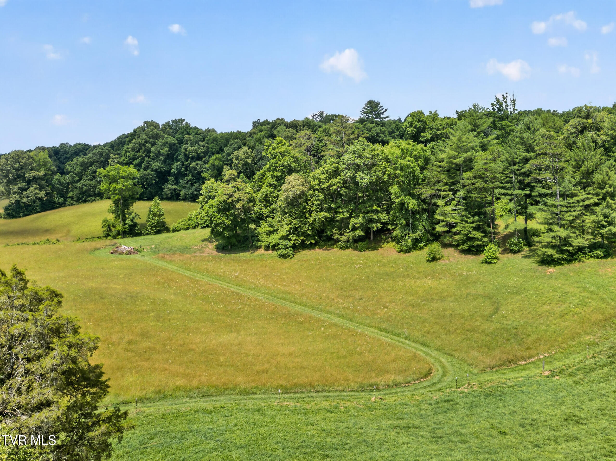 835 John Bird Road Afton, TN 37616 - Photo 139 of 158 DJI_0177