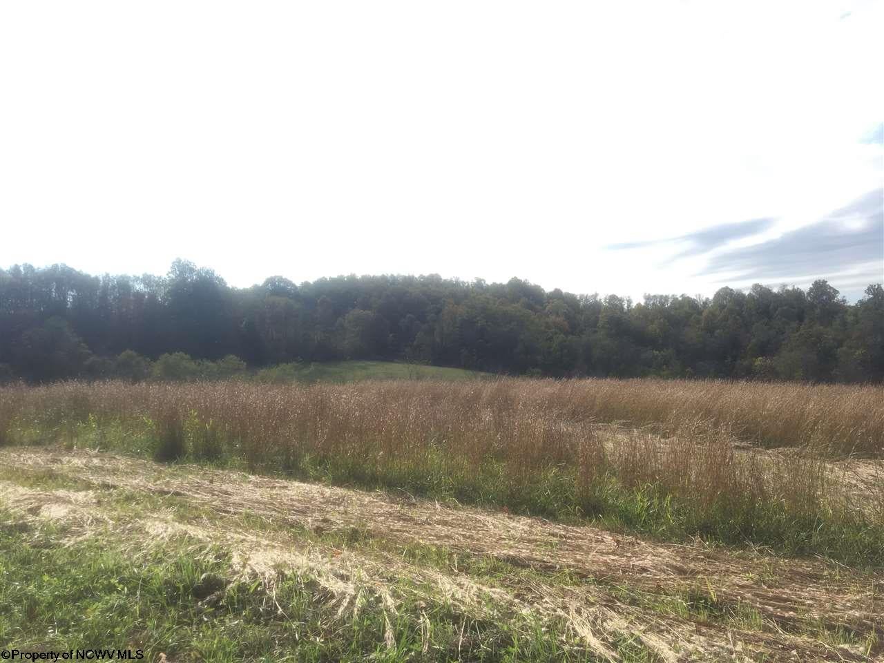 299 William Smith Road Rivesville, WV 26588 - Photo 16 of 16 Gallery Image 16