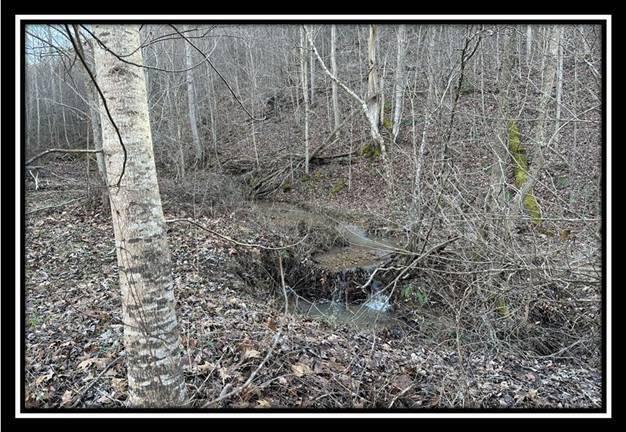 53522 Clary Road, Unit TRACT 1) Ray, OH 45672 - Photo 20 of 43 image020