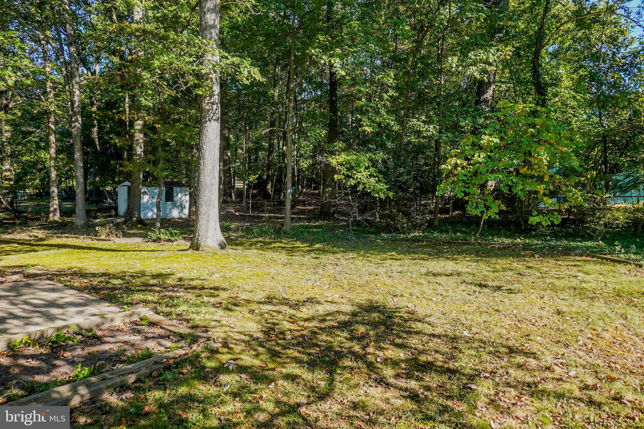 7019 Redmiles Road Laurel, MD 20707 - Photo 54 of 59 Back yard View 1