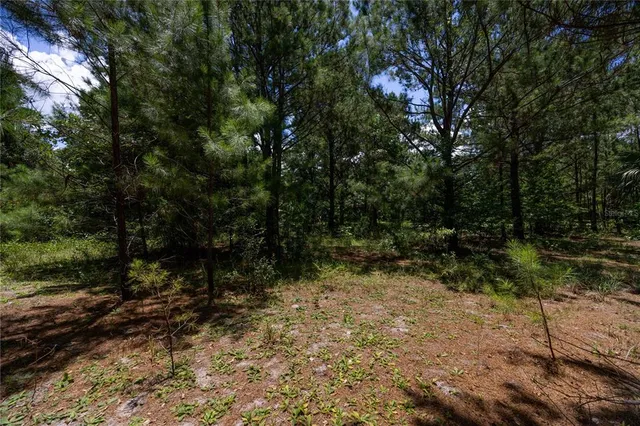 $437,000 | 16011 County Road 325, Hawthorne, FL 32640