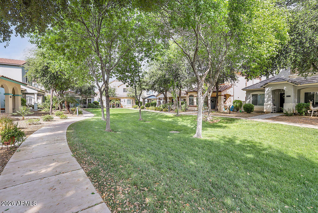 3116 East Tamarisk Street Gilbert, AZ 85296 - Photo 35 of 35 a front view of a house with a yard