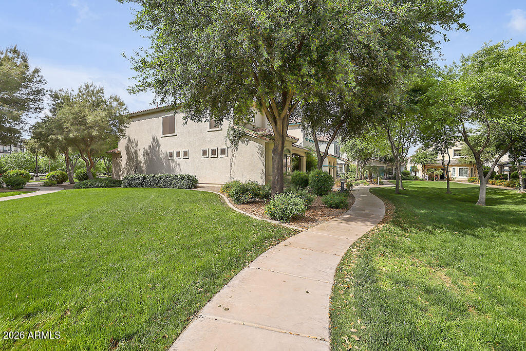 3116 East Tamarisk Street Gilbert, AZ 85296 - Photo 10 of 35 a front view of a house with garden