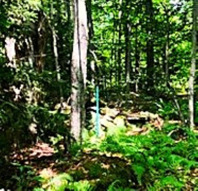 540 Shampeny Hill Road Hancock, VT 05748 - Photo 20 of 23
