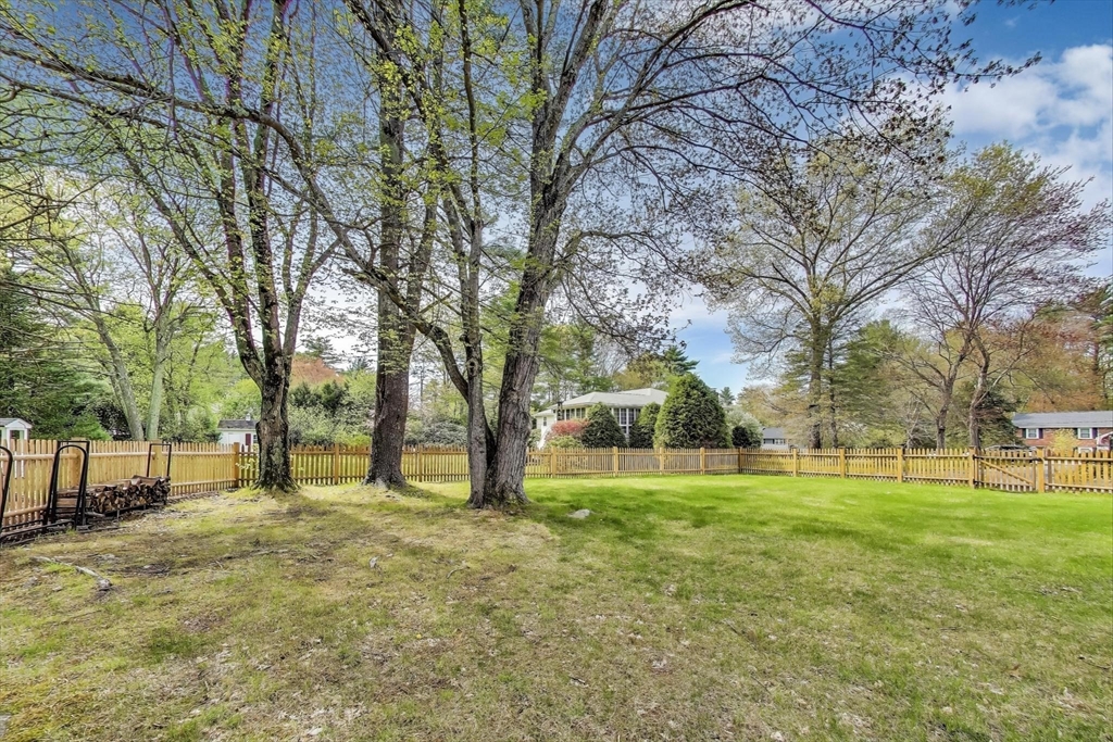 24 Spruce Drive Westwood, MA 02090 - Photo 30 of 32 a view of a yard with a tree