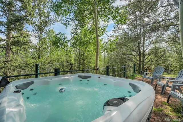 a view of backyard with outdoor seating and plants