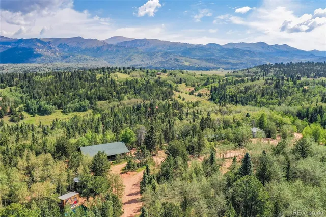 a view of a city with lush green forest