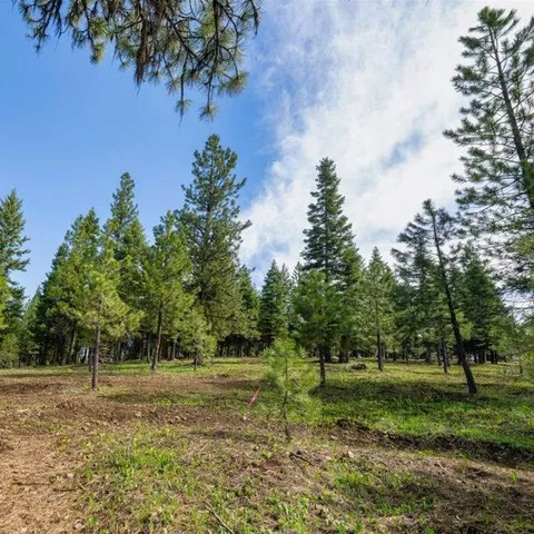 $650,000 | Lot 2 To Be Determined, Unit 2, McCall, ID 83638