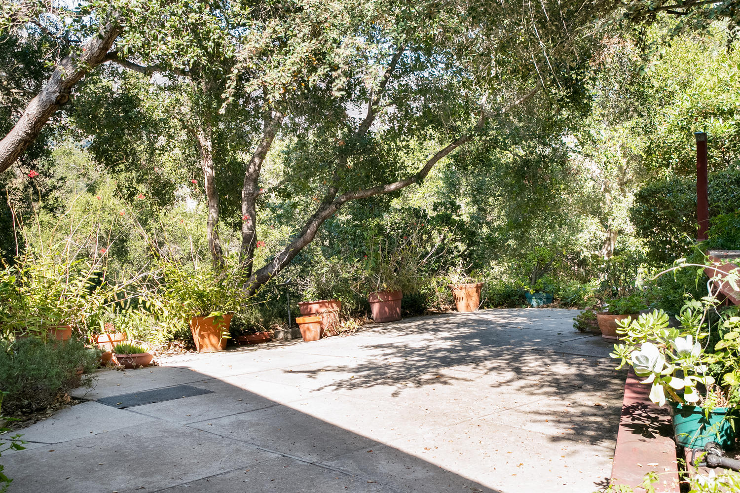 186 Sierra Vista Road Montecito, CA 93108 - Photo 42 of 47 42 - Patio - Yard