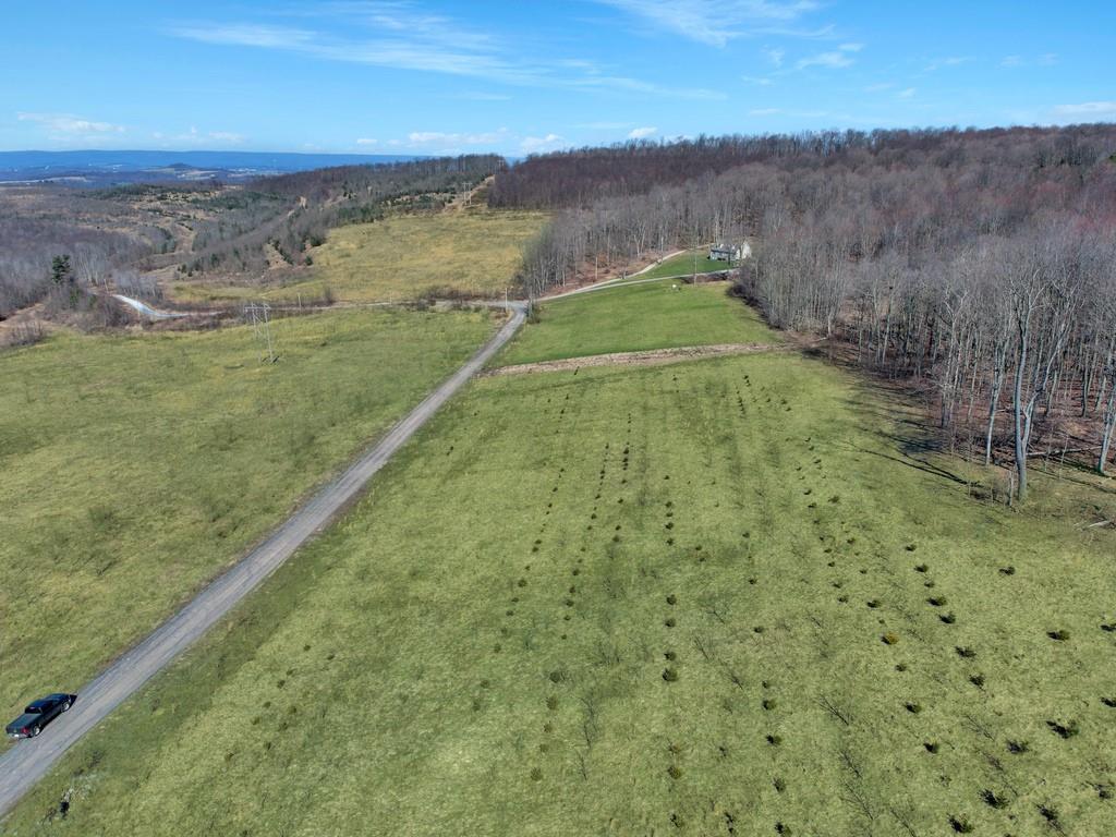 0 Fallen Timber Road Hooversville, PA 15936 - Photo 12 of 24 Gallery Image 12