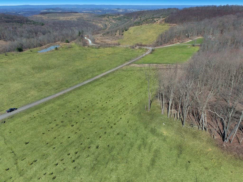0 Fallen Timber Road Hooversville, PA 15936 - Photo 13 of 24 Gallery Image 13