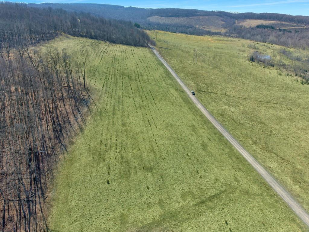 0 Fallen Timber Road Hooversville, PA 15936 - Photo 16 of 24 Gallery Image 16