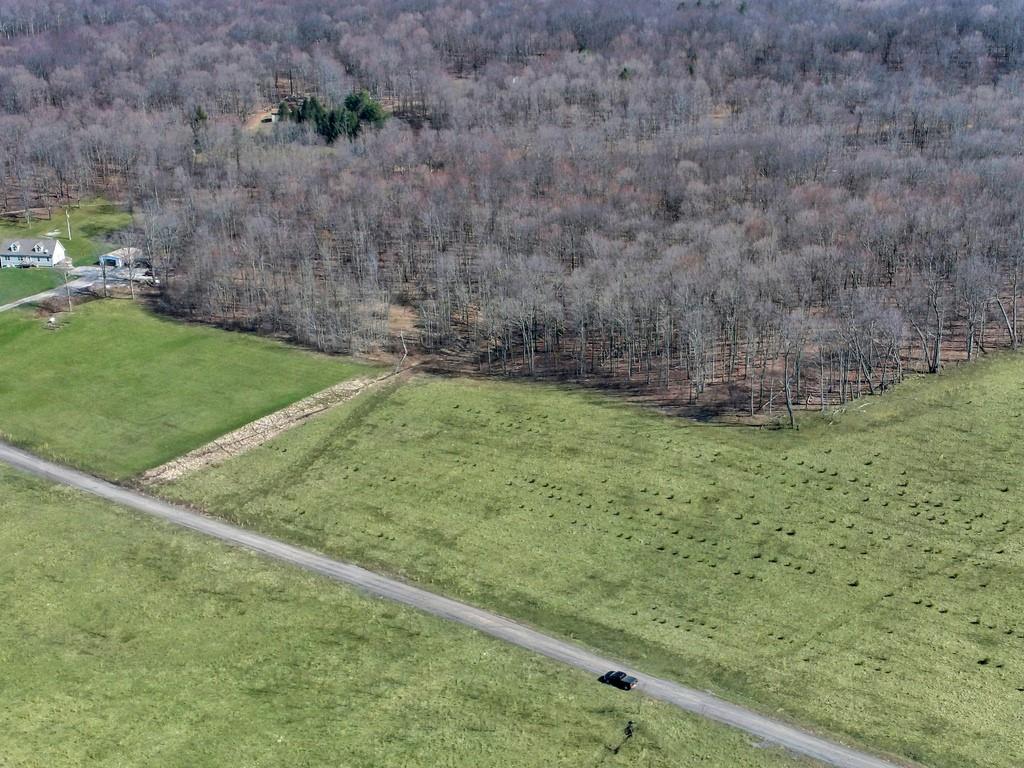 0 Fallen Timber Road Hooversville, PA 15936 - Photo 18 of 24 Gallery Image 18