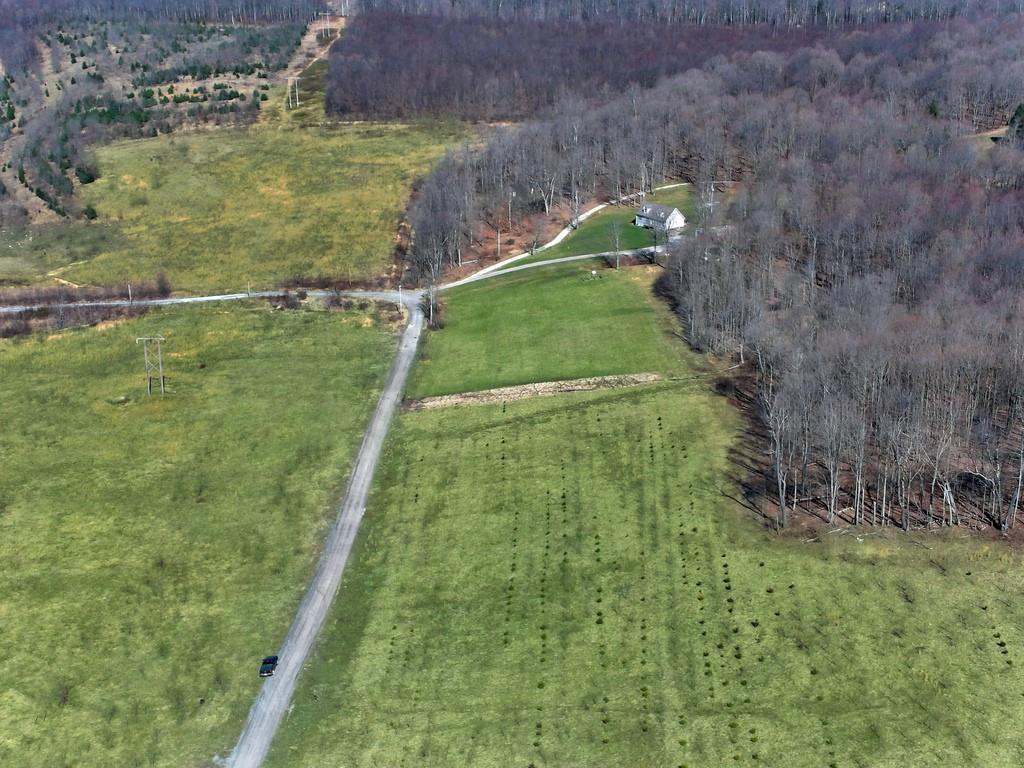 0 Fallen Timber Road Hooversville, PA 15936 - Photo 19 of 24 Gallery Image 19