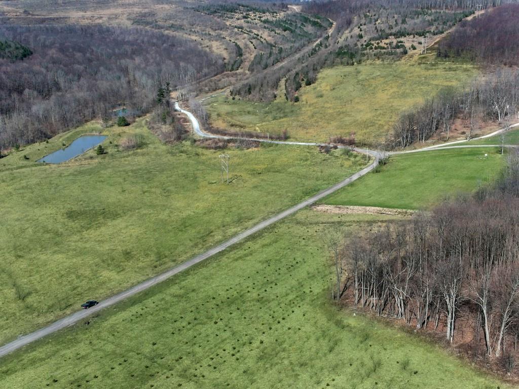 0 Fallen Timber Road Hooversville, PA 15936 - Photo 20 of 24 Gallery Image 20