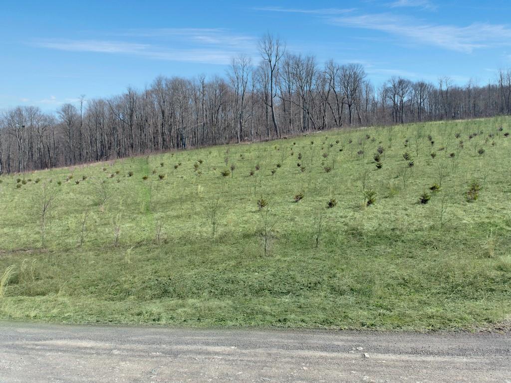 0 Fallen Timber Road Hooversville, PA 15936 - Photo 2 of 24 Gallery Image 2