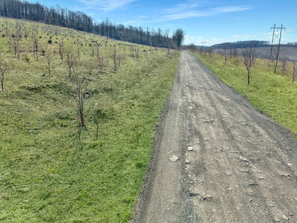 0 Fallen Timber Road Hooversville, PA 15936 - Photo 5 of 24 Gallery Image 5