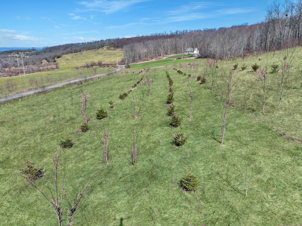 0 Fallen Timber Road Hooversville, PA 15936 - Photo 6 of 24 Gallery Image 6