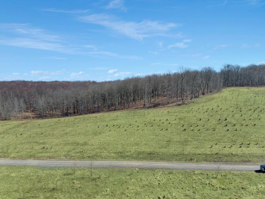 0 Fallen Timber Road Hooversville, PA 15936 - Photo 7 of 24 Gallery Image 7