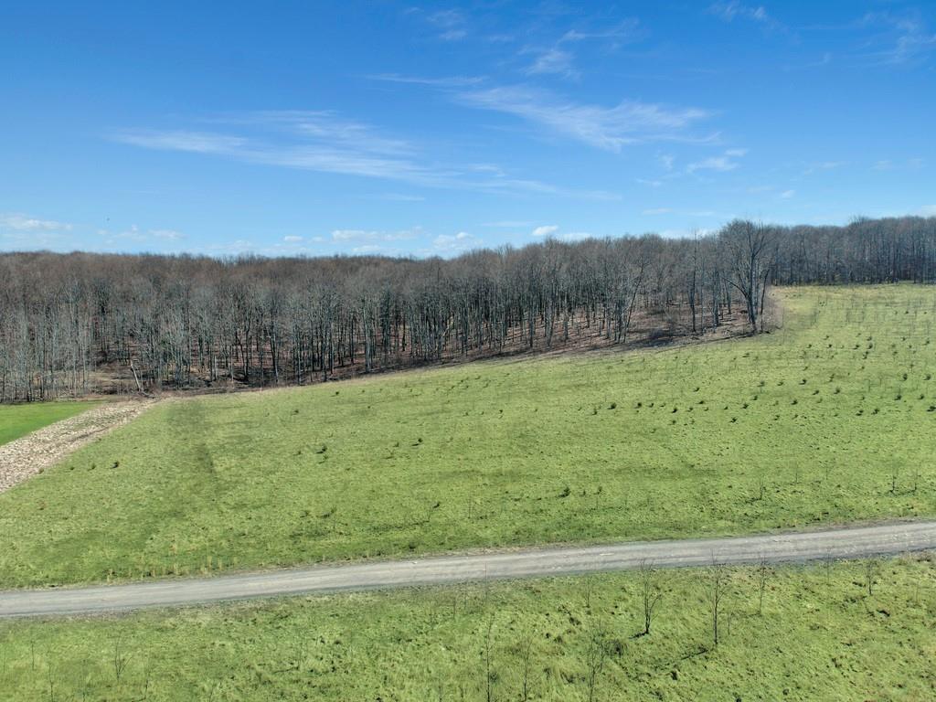 0 Fallen Timber Road Hooversville, PA 15936 - Photo 8 of 24 Gallery Image 8