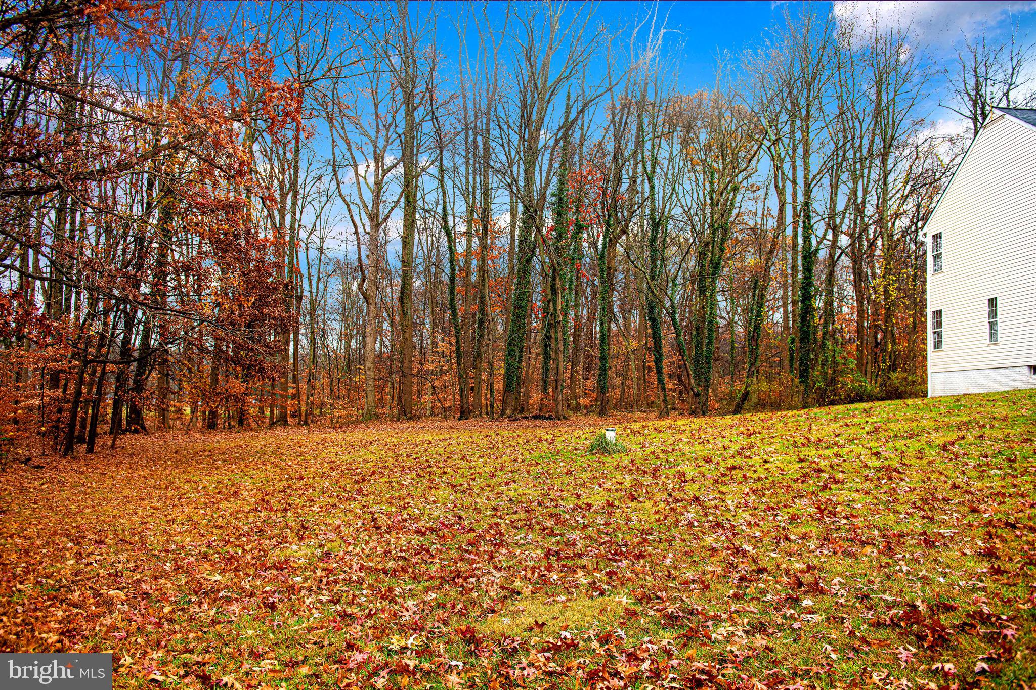 2015 Singer Road Joppa, MD 21085 - Photo 57 of 57 Yard
