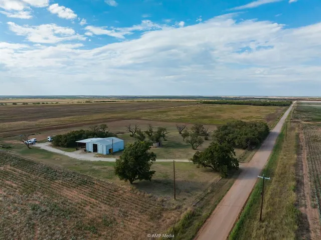 a view of beach with large trees