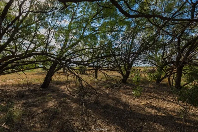 $159,900 | 15157 County Road 453, Merkel, TX 79536