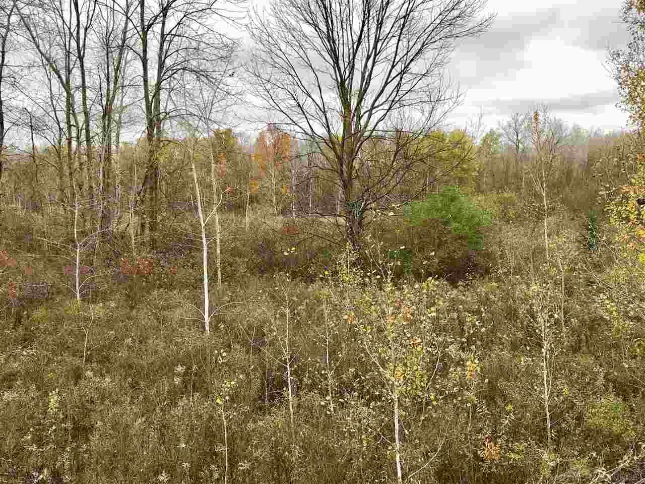6610 Pringle Road Cass City, MI 48726 - Photo 9 of 24 Gallery Image 9