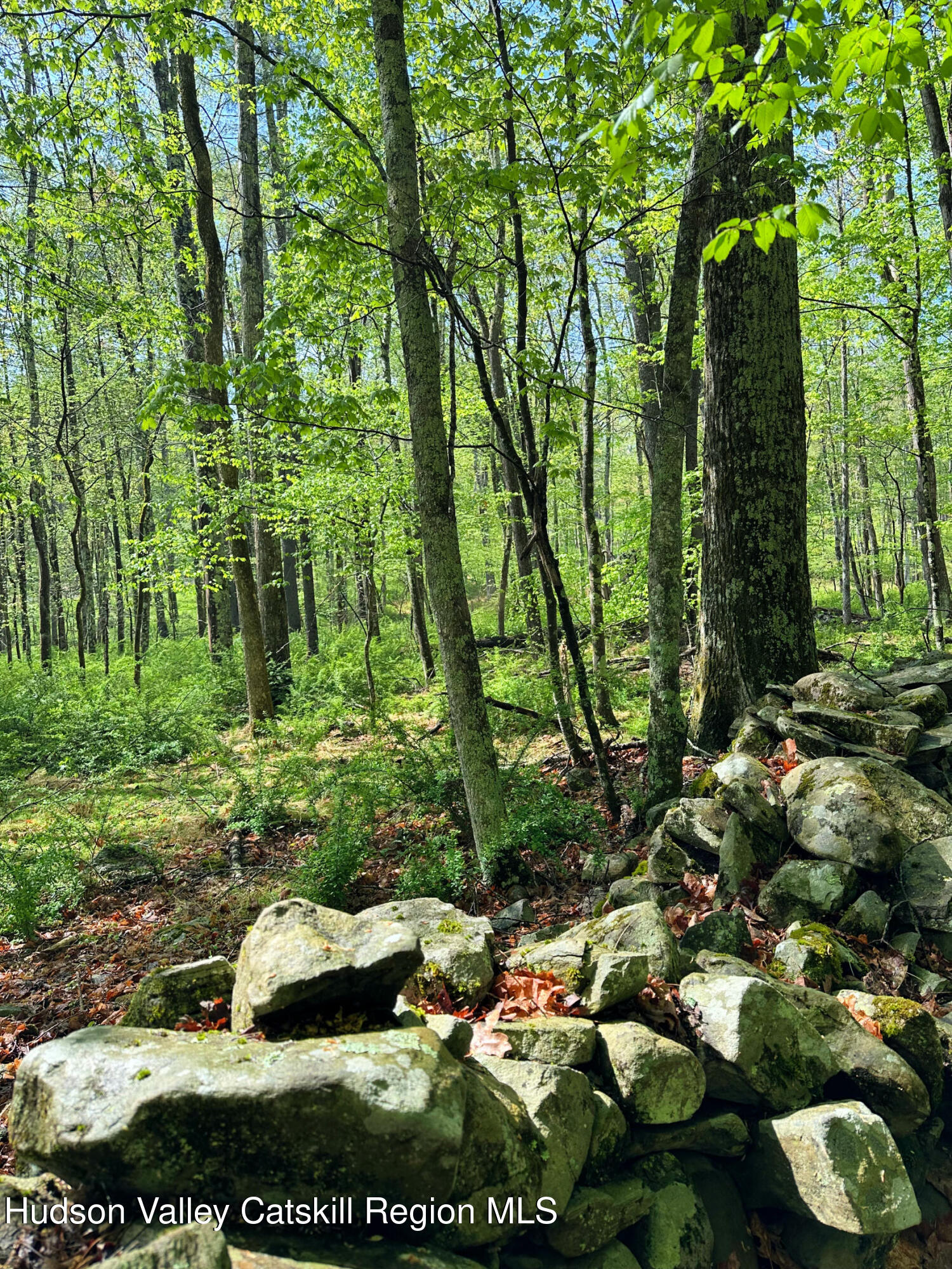 30 Narrow Road Kingston, NY 12401 - Photo 33 of 34 Stone Wall 30 Narrow Rd lot