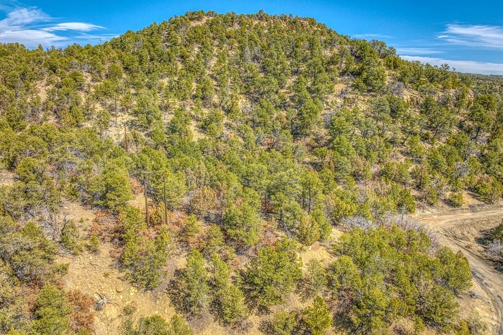 0 Co Road Trinidad, CO 81082 - Photo 23 of 64 Gallery Image 23