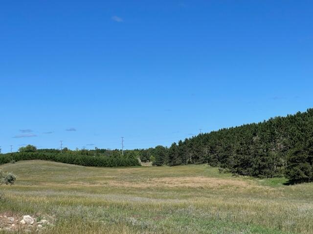 37 Acres 2 Mile Road Reed City, MI 49677 - Photo 1 of 5 IMG_6656